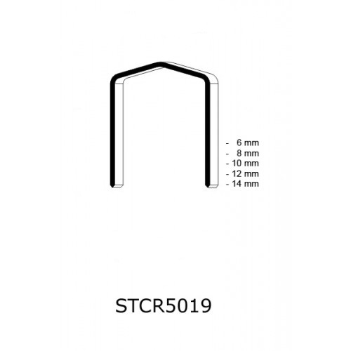 STCR-skava-3